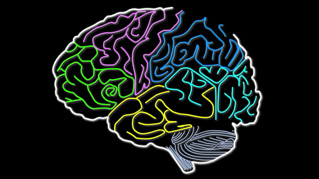 Experimental Alzheimer’s drug may have contributed to death