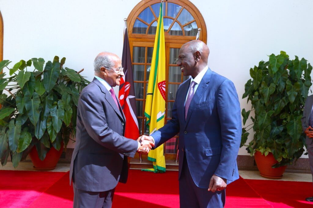 Kenay: Eritrean Delgation delivered message from President Isaias Afwerki